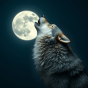 January’s Wolf Moon – A&nbsp;Poem